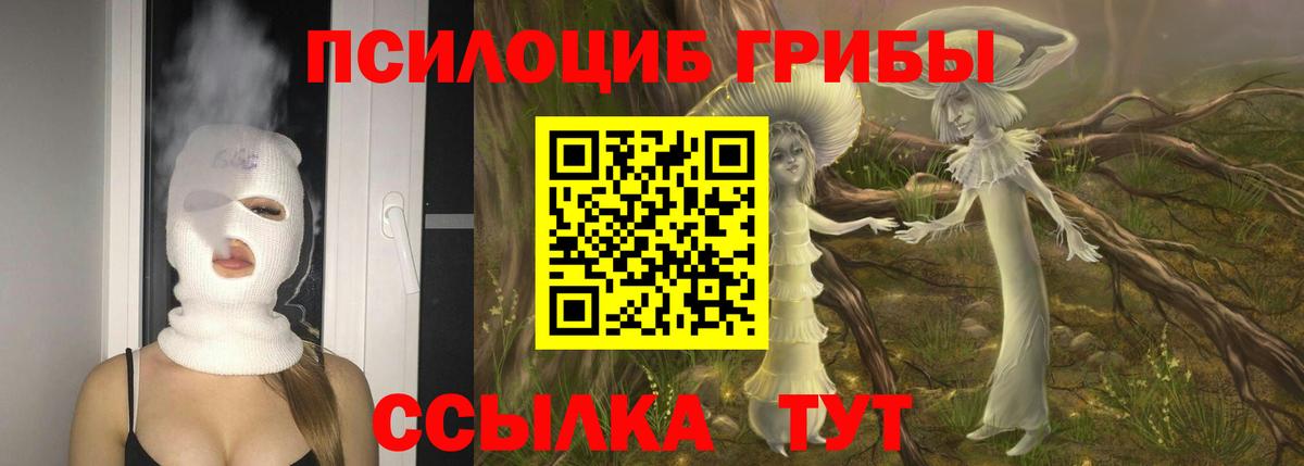 наркота  Вход с VPN  Аргун  Псилоцибиновые грибы GOLDEN TEACHER 