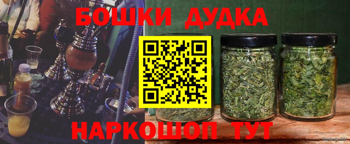 Бошки Шишки семена Аргун